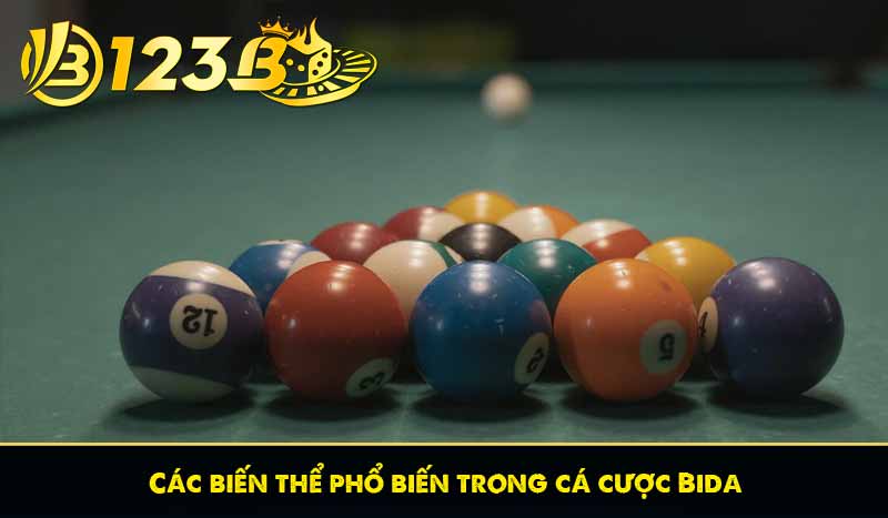 Các biến thể phổ biến trong cá cược Bida