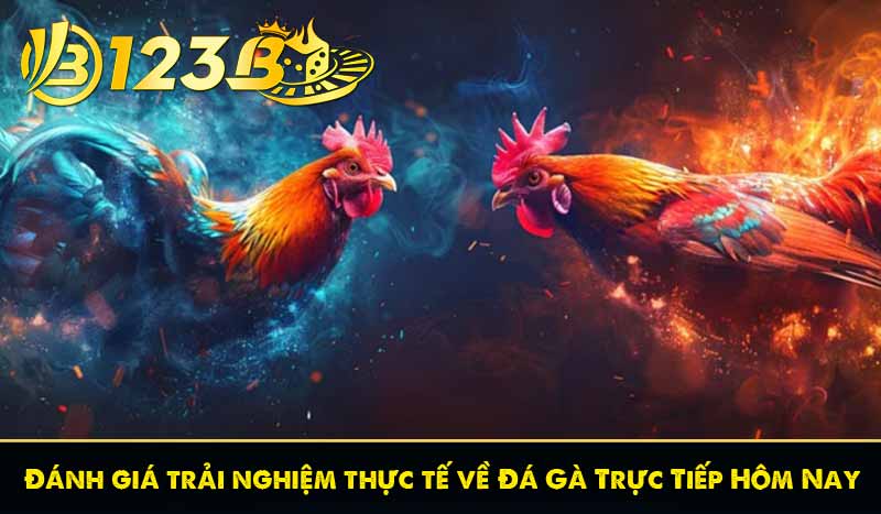Đá Gà Trực Tiếp Hôm Nay | Xem Chọi Gà Miễn Phí Tại 123B 9 Đánh giá trải nghiệm thực tế về Đá Gà Trực Tiếp Hôm Nay