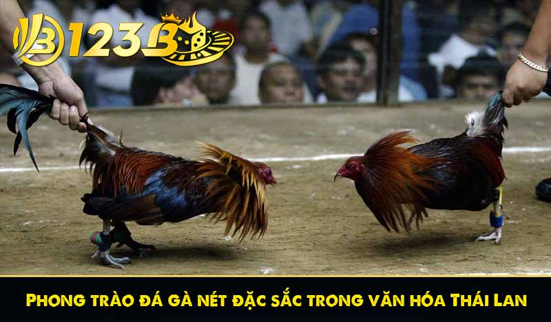 Phong trào đá gà nét đặc sắc trong văn hóa Thái Lan