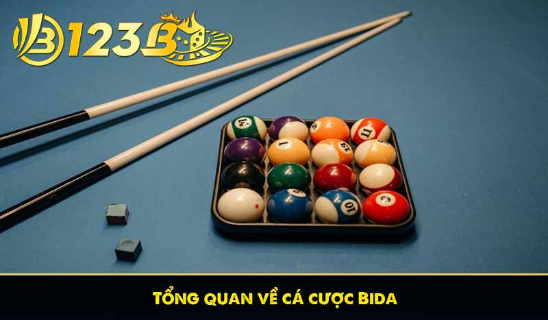 Tổng quan về cá cược Bida